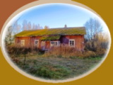 neuvonen 